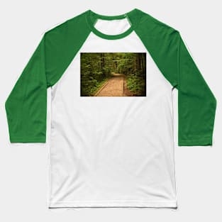 Path in Zelenci Nature Reserve, Slovenia Baseball T-Shirt